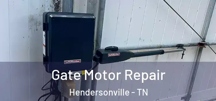 Gate Motor Repair Hendersonville - TN