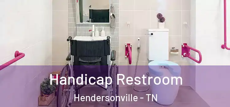 Handicap Restroom Hendersonville - TN