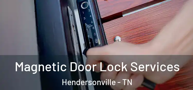 Magnetic Door Lock Services Hendersonville - TN