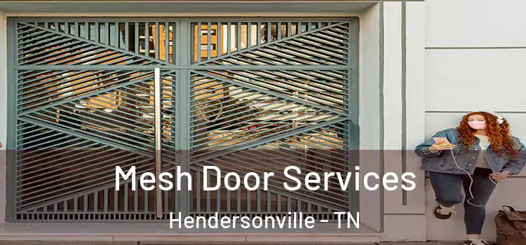 Mesh Door Services Hendersonville - TN