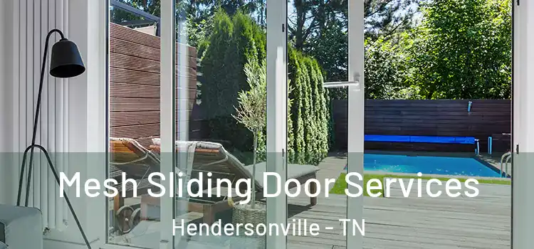 Mesh Sliding Door Services Hendersonville - TN